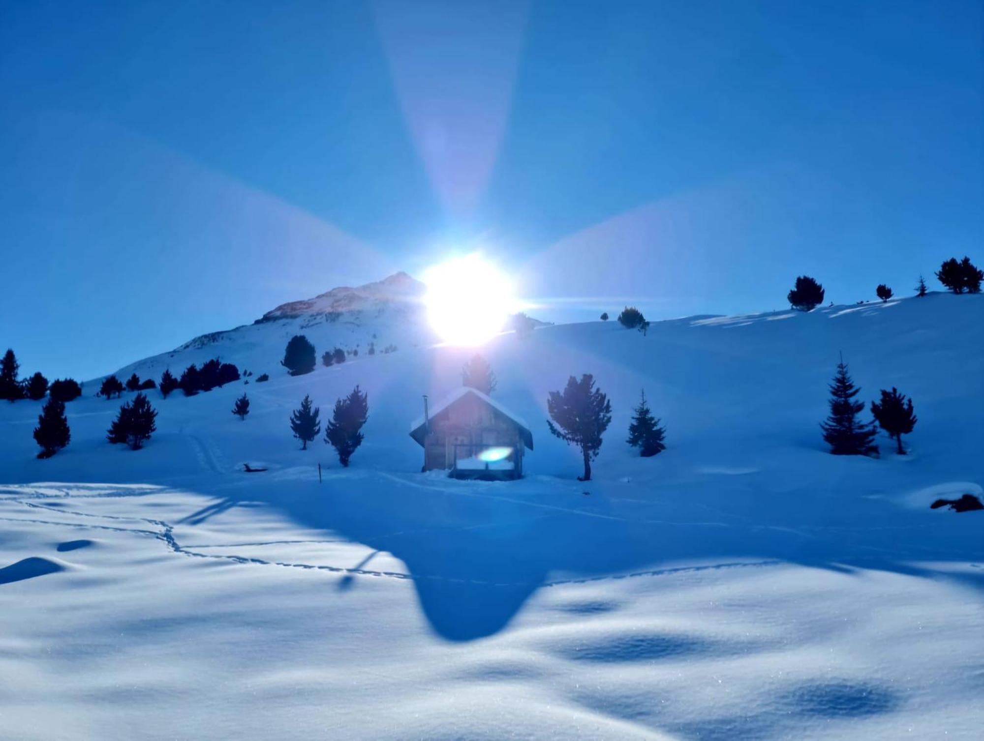 Haus Alpenblick Leilighet See Eksteriør bilde